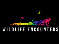 Wildlife Encounters