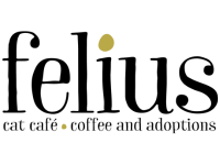Felius Cat Cafe