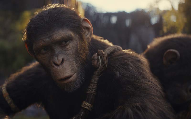 ‘Kingdom’ Restarts the Apes Franchise