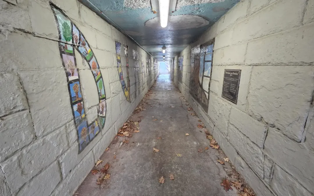 Dundee’s Dodge Street Subway