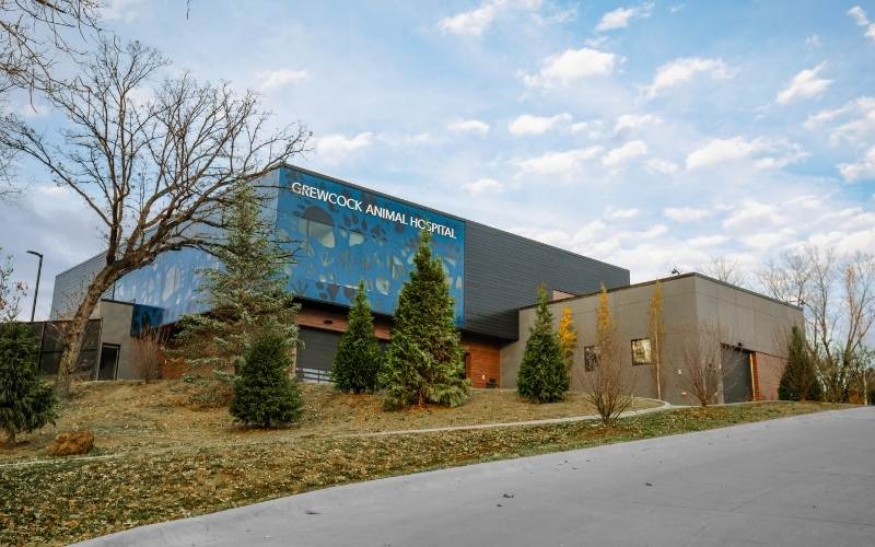 Henry Doorly Zoo Opens Grewcock Animal Hospital