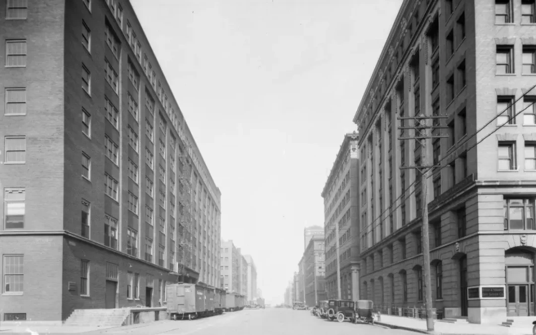 The Rise and Fall of Jobbers Canyon