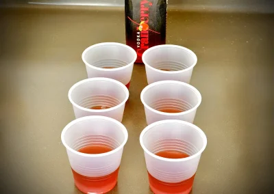 OVG Signature vodka cranberry