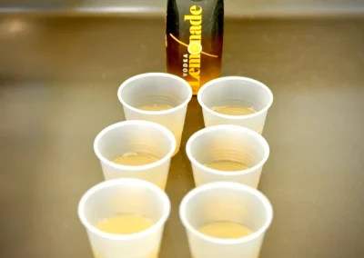 OVG Signature vodka lemonade