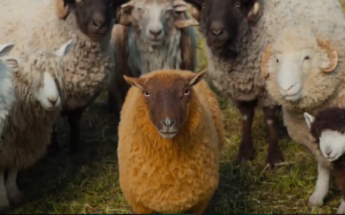 The Sheep Detectives Is Shear Delight