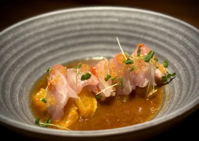 Hamapon plate